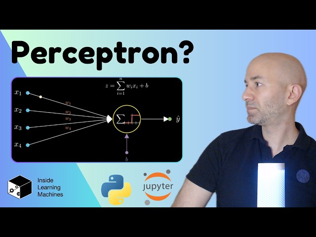 The Perceptron Explained: How It Works and When Should You Use It?