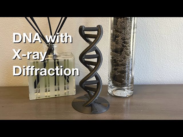 DNA with X-ray Diffraction (3D Printed)