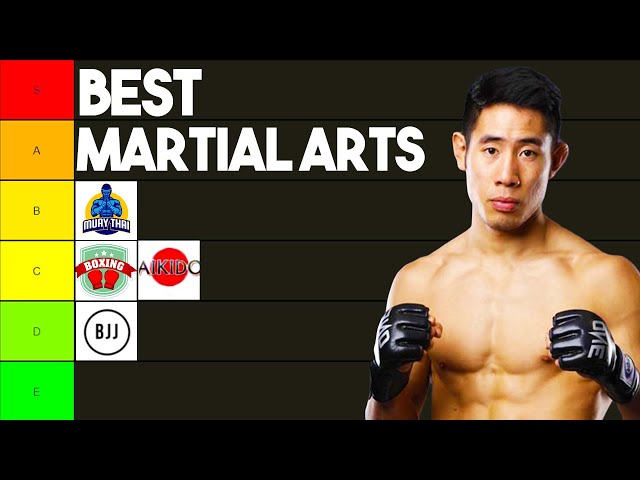 Best Martial Arts Ranked By MMA Fighter
