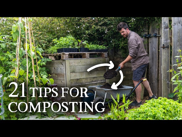 21 Composting Tips I Wish I Knew Sooner