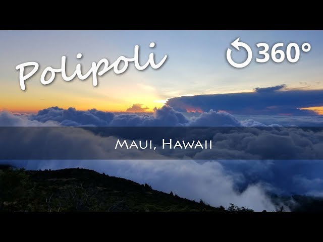 Polipoli Spring State Recreation Area 8k 360 Sunset Time-lapse