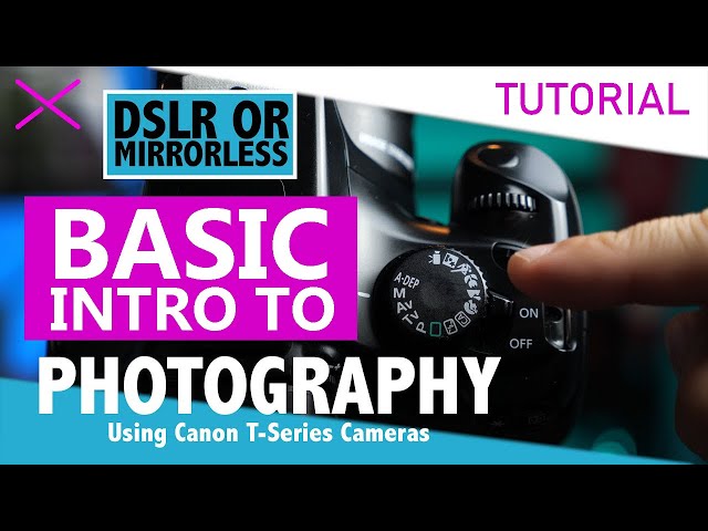 Canon T3 Basic Camera Tutorial for Photography
