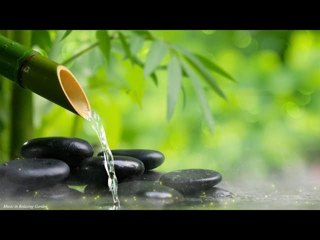 🌿🌿Hermosa música de piano: música relajante para dormir, 🌿🌿Estudio y relajación, música relajant