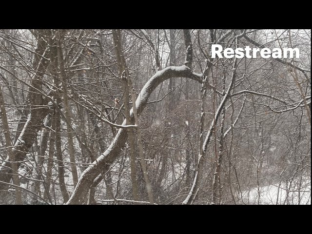 Abstract artsy video experiments with sound noise and music audio created in 2k or 4k