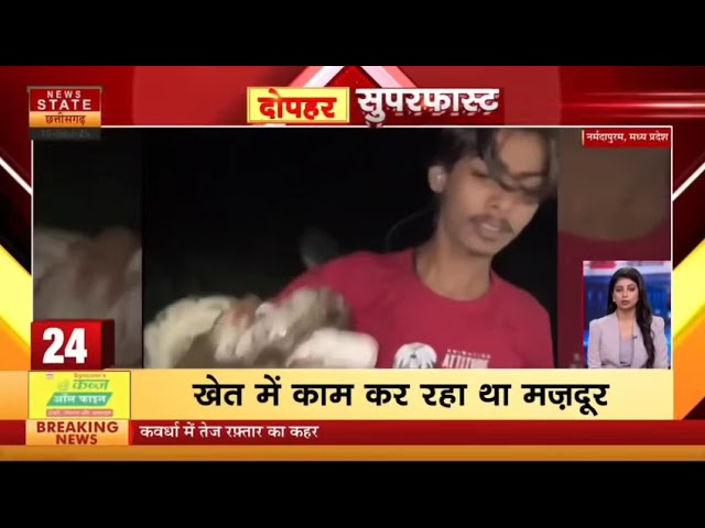 Rescue News (big saiz Indian rock python)🐍☠️ #viralvideo #snakelover #madhyapradeshnews