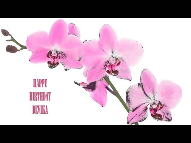 Devika   Flowers & Flores - Happy Birthday