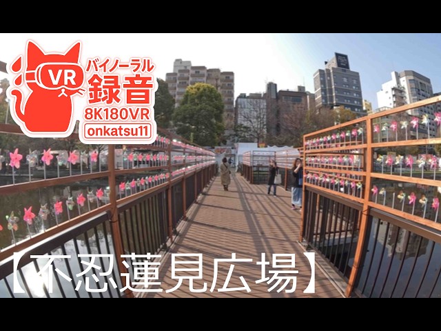 🌸[Shinobazu Pond Bentendo — Spring Walk from Temple to Lotus Viewing Plaza (8K VR180)]Chapter Four‼