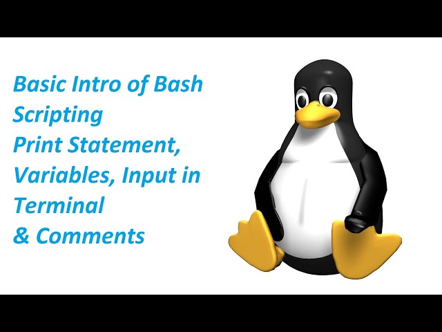 Shell Scripting Tutorial for Beginners 1 - Introduction