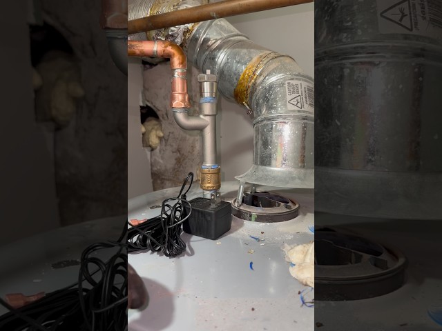 Suspicious customers are out there making pasta with tank water. That’s not al dente it’s corrodente