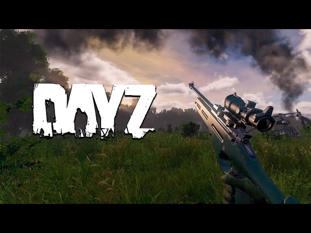 Surviving ALONE on an Official Dayz Server in 2025