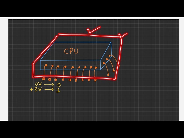 Why Computers Work on Binary Language? | Binary Number System Explained | Java Basics | S2P