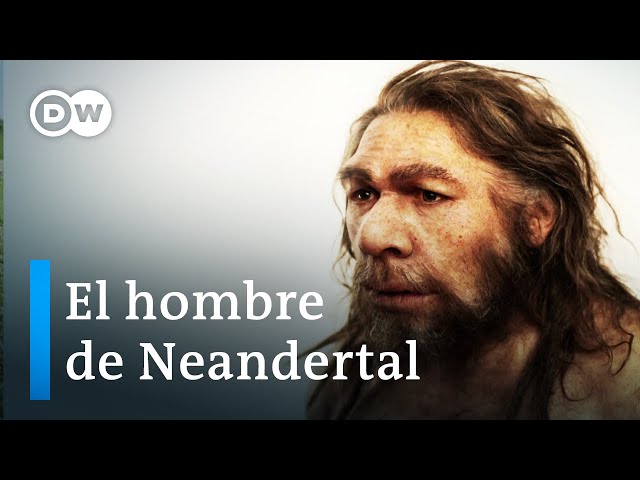 Los neandertales - ¿Nuestros parientes más antiguos? | DW Documental