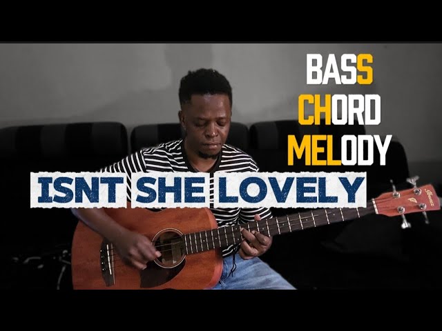 How to play "Isn't she lovely" chords & melody | Stevie Wonder music | Bass tutorial 
