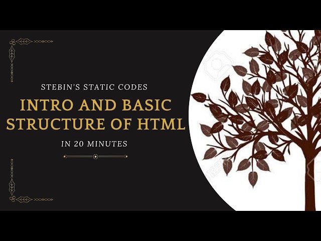 HTML Introduction & Basic Structure | HTML & CSS Full Course #2