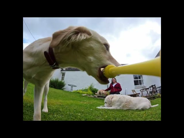 Insta360 GO3S with Fetch Stick - attempt 2