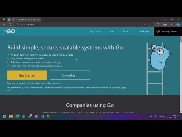 GO: Http si raspunsuri pe baza de path-uri