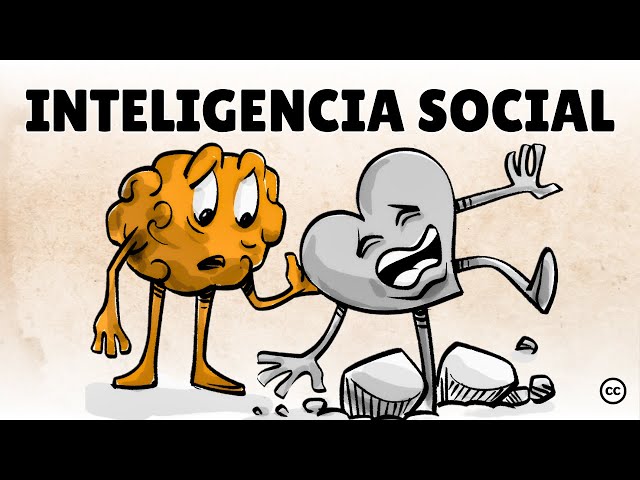 Social intelligence: 5 mental gifts to succeed in society