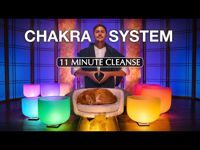 QUICK  **Full Nervous System**  Chakra Alignment  (11 minute cleanse)