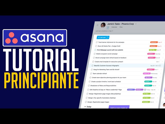 How to Use ASANA for Beginners (2024) | Asana Tutorial