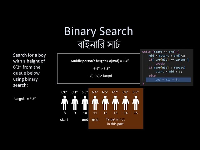 Linear and Binary Search || লিনিয়ার এবং বাইনারি সার্চ || DSA by Saifullah