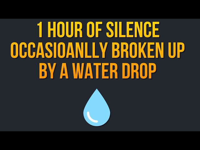 1 Hour of Silence Occasionally Broken up by a Water Drop Sound Effect