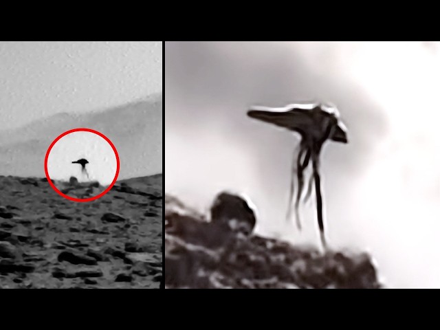The Mars Jellyfish UFO: 5 Mysterious Events Everyone Is Talking About Right Now..