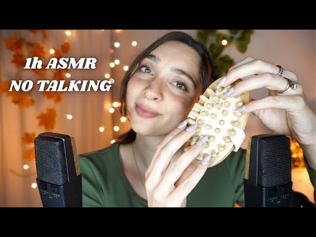 1H ASMR to study, work, sleep | No Talking