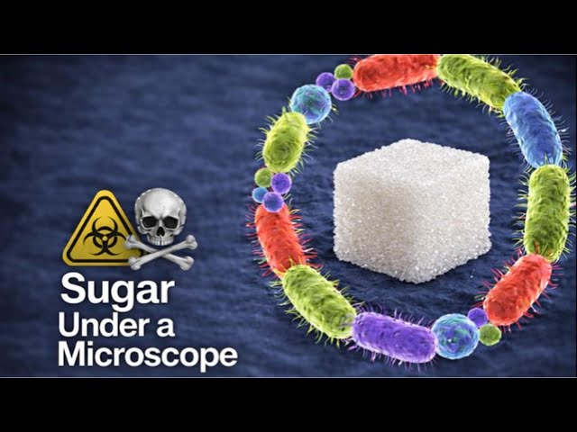 I Was Shocked When I Saw Sugar Under the Microscope 🍬