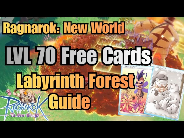 Ragnarok New World | LVL 70 Free Cards + Labyrinth Forest Guide  | Level 70 Dungeon Guide!