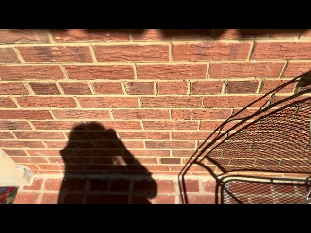 Shadow-work?