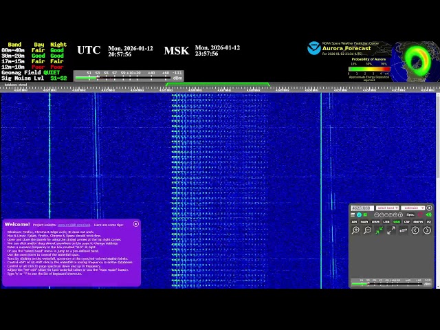 The Buzzer (4625khz) - Live
