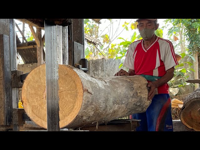 amazing!! this super dry teak sawing process!! makes you gape||woodworking|sawmill factory||ASMR