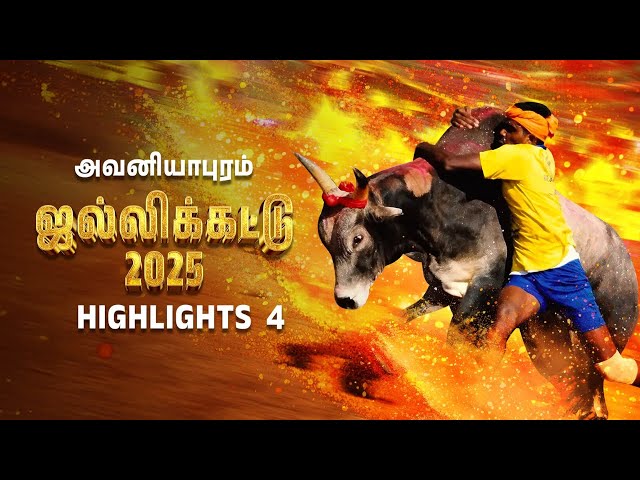 அவனியாபுரம் ஜல்லிக்கட்டு 2025 | Jallikattu 2025 | Highlights 4 | Tamil Nadu Festival @zeetamil