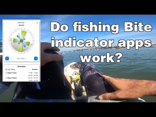 Do Fishing Bite Indicator Apps and Websites Work? | Bream Fishing Tips and Techniques