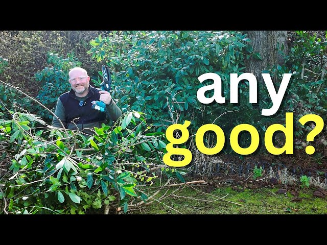 Unleashing Power in Miniature: Seesii Mini Chainsaw Review!