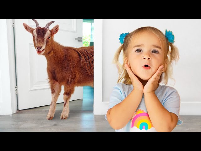 Alice explores animals by sounds and footprints