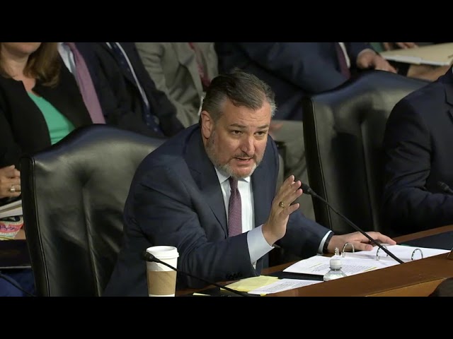CRUZ MISSILE: Sen. Cruz BLASTS Deputy Director Of FBI Over Biden Bribes