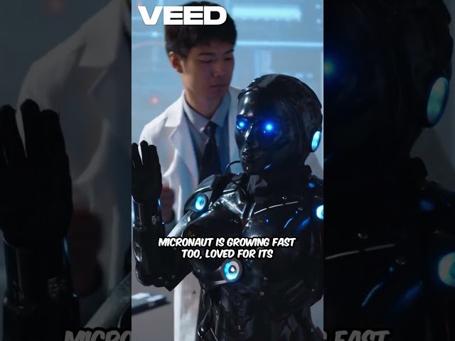 Java Frameworks 2026 Evolution