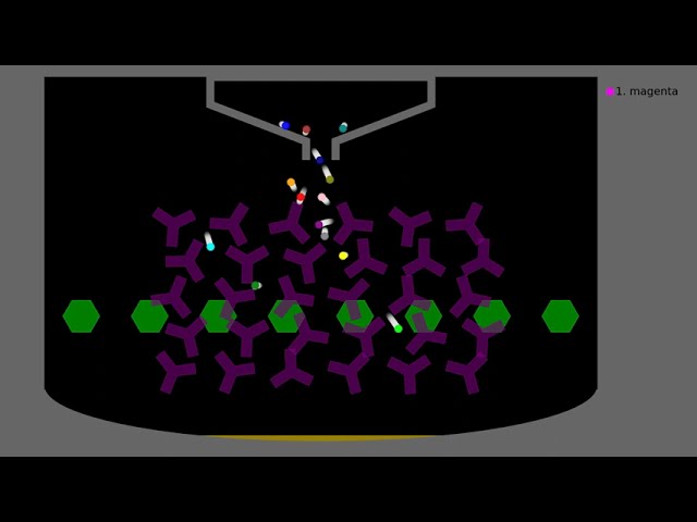 Marble Race Practice - Lesson 206