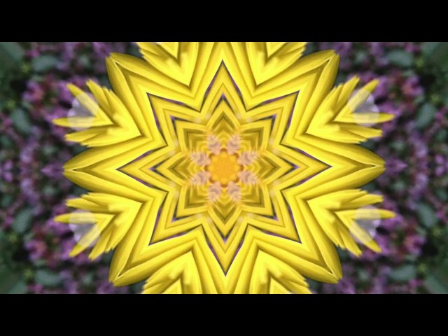 REDUCE ANXIETY -Talk Therapy with flower Kaleidoscope and bird sounds callotchrissy
