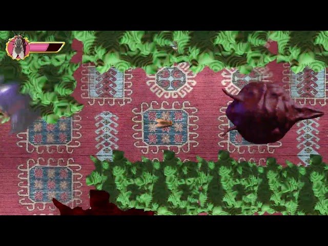A Fly in the Array, Gameplay