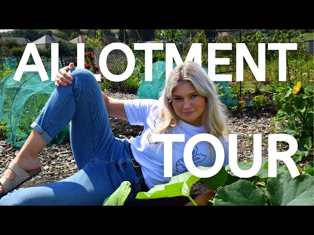 Allotment Tour July 2025 | 10 Month Transformation from Grass to Garden
