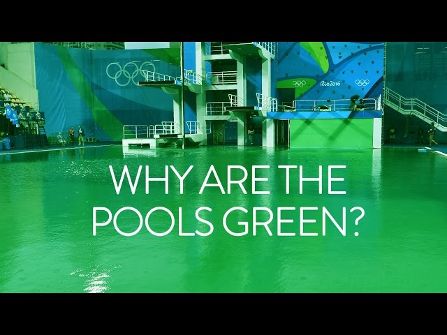 Why are the Olympic diving pools green? Olympic Games Rio 2016 - BBC Sport