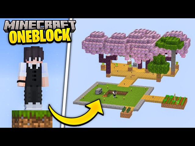 The BEST Minecraft ONEBLOCK start in the world