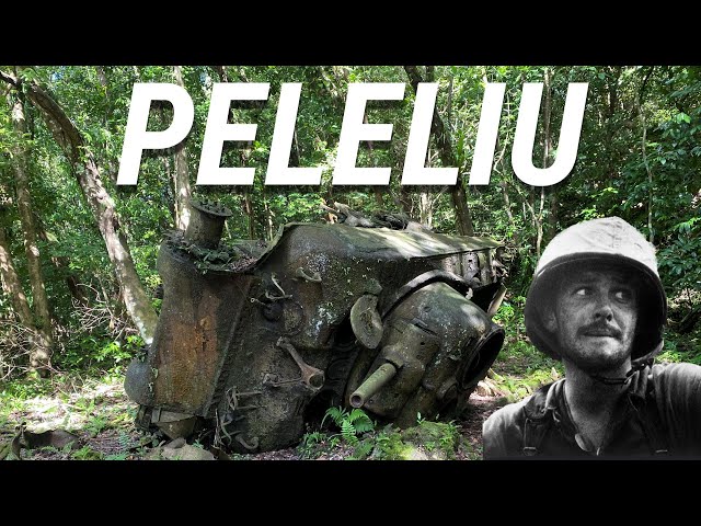 Peleliu 80 Years Later: Walking Through WWII History