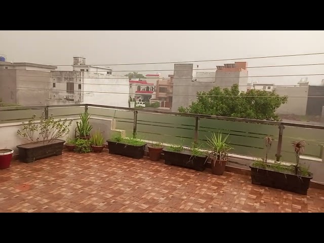 Rainy season has started again ⛈️☔🌦️ | Home Garden @TASTEinFLAME