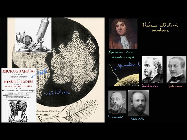 The Cell Theory