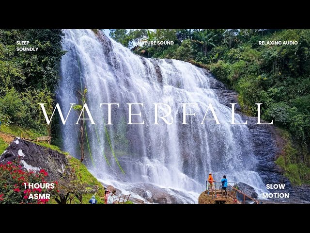 Sleep Now: 1 Hour Waterfall ASMR | Pure Nature Sounds for Deep Sleep, Tropical West Java Indonesia