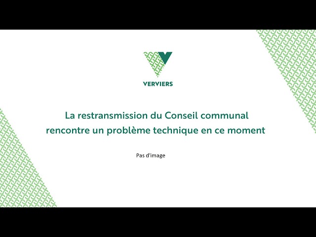 Conseil Communal | Ville de Verviers | 1 juin 2026 partie 3