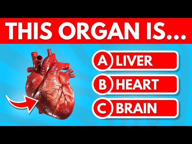 MEGA General Knowledge Quiz 🤔 | 150 Questions | Ultimate 1 Hour Trivia Marathon